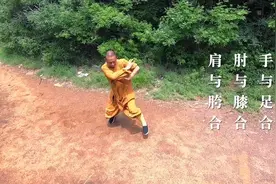 我在少林当武僧 | 师父来了视频封面