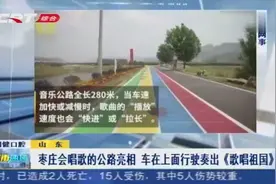 山东枣庄“音乐公路”亮相，车辆行驶时，可以演奏出《歌唱祖国》视频封面
