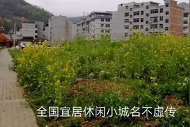 农村人素质低下在河上游拉屎💩污染河水，宜居小城有待建设视频封面