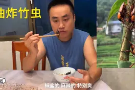 油炸竹虫，多少农村人的回忆，小伙一口一个吃的真过瘾