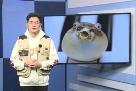 钓鱼虽然乐趣多，但是危险也不少，你遇到过几个？（下）视频封面