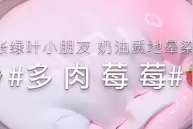 又来更新啦，这款多肉莓莓很好玩哦，值得入手视频封面