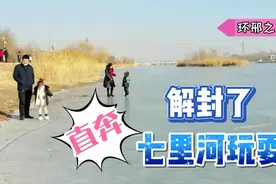 解封了！直奔邢台七里河玩耍，钢铁路大桥下停满了车，唱歌、遛狗