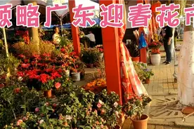 牛年春节马上来临！广东人少不了的“行花街”视频封面