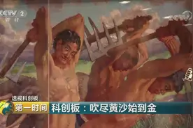 卖画保“壳”？透视科创板哪些稀奇事：吹尽黄沙始到金视频封面