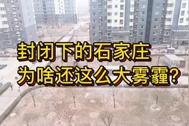 封闭下的石家庄，为啥还这么大雾霾？一句玩笑话说服了自己视频封面
