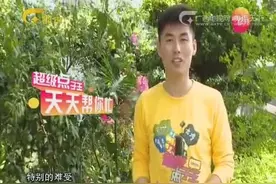 深色衣服更招蚊子是真的吗？实验证明竟是真的，专家道出原因