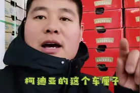 最牛车厘子品种【柯迪亚】分享，普及选购车厘子方法，不容错过。视频封面