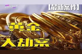 【最新案例】2020陕西黄金大劫案视频封面