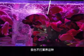 今天给鱼友带点东西，主要我也想弄个温度计视频封面