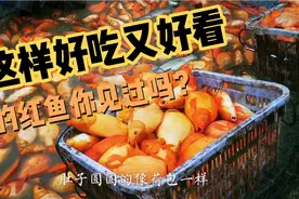 婺源的荷包红鲤鱼，好吃还好看，过年餐桌上每家每户必备的美食！视频封面