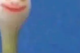 搞笑头像😂视频封面