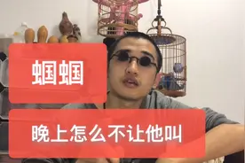 养蝈蝈晚上蝈蝈叫影响休息睡眠，晚上怎么不让蝈蝈叫，方法告诉您