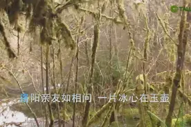 古诗朗诵《芙蓉楼送辛渐》作者.王昌龄--一片冰心在玉壶视频封面