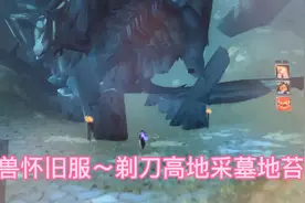 剃刀高地～采墓地苔视频封面