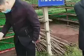 佛香晒场看看晾晒方法视频封面