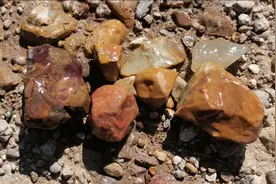 张家口掉沙河有玉石原料，五彩玉黄龙玉玛瑙，与石有缘就是你的