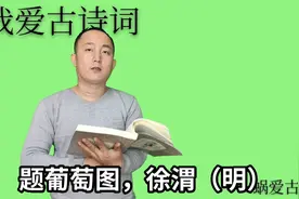 诵读明代徐渭的《题葡萄画》，半生落魄已成翁，独立书斋啸晚风视频封面