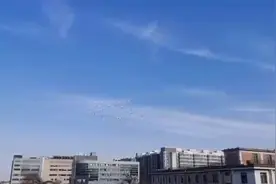 北京皇城根里养鸽人，鸽子的哨声萦绕在四合院上空，这才是京味视频封面