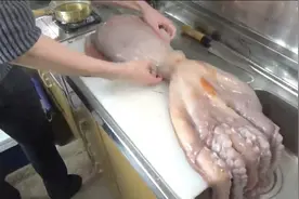 巨型八爪鱼做刺身，日本小哥挖出一大碗章鱼“大米”视频封面