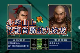 水浒无双—鲁智深进军少华山，杨志压阵激战神秘人视频封面