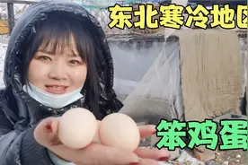 东北零下30℃鸡窝这样搭建，每天都下蛋，为农民增加了不少收入视频封面