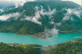 舌尖上的四川平武：高山蔬菜视频封面