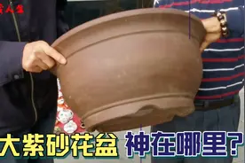 古玩市场惊现特大紫砂花盆，摊主要价2000，买家1600买下立马闪人视频封面