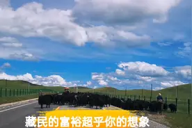 自驾甘南和川西，觉得藏民真的不穷，财富也许超乎你的想象视频封面
