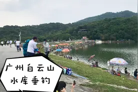 全国最长1500米滑索，湖光山色，城市绿肺、5A景区，门票4视频封面