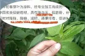 嫩芽制作成茶可减肥，降血压。四川农村遍地都是这种树，你喝过？视频封面
