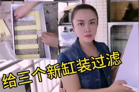 要给三层鱼缸装过滤系统，来看看惠姐的滤盒怎么装？滤材如何摆？