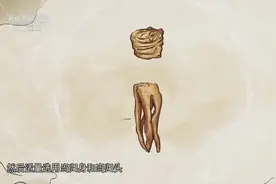 当归竟能治病救人？妇科圣药当归让气血各归其所，了解一下吧视频封面