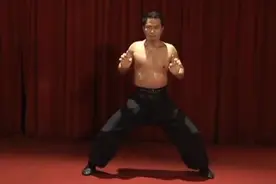 南拳之虎鹤双形，拳拳到位桥马稳定，硬桥硬马内气外形！视频封面