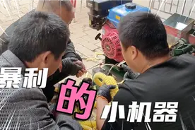 安徽大哥花3000元买的小机器，利润大操作简单，一个人干正好视频封面