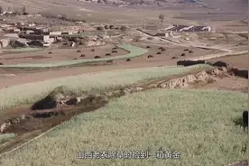 山西老汉除草时捡到一箱黄金，被迫上交，价值超过2000万。视频封面