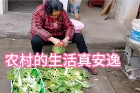 等我老了也要回农村过这样安逸的田园生活:空气清新，吃的又健康视频封面