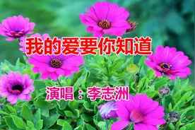 一首情歌《我的爱要你知道》视频封面