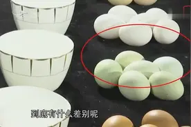土鸡蛋比普通鸡蛋更有营养，事实真是这样吗？一起看下检测结果吧视频封面