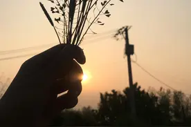 我不在喜欢你了视频封面