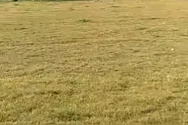 厦门宸鸿科技翔安厂视频封面