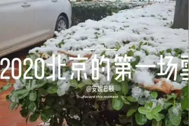2020北京第一场雪来势汹涌，但消失的也迅速，还未看够就不见踪影视频封面