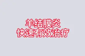 羊怕光，眼睛粘住，失明，羊结膜炎怎么快速治疗?视频封面