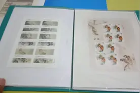 收藏的一些小版邮票，图案和设计都很精美，这些价值几何视频封面