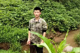 风云教你们如何快速抓龙虾，一抓一个准视频封面
