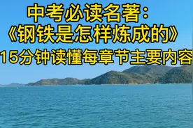 中考必读名著《钢铁是怎样炼成的》，15分钟读懂每章节主要内容视频封面