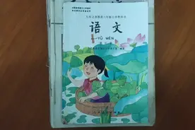 80后经典课文记住多少？晨读、师生情，翠鸟、富饶的西沙群岛视频封面