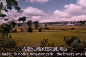 《怦然心动》（中）少年时代美好纯真的爱情故事让你沉浸美好故事视频封面