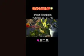 海鸥妈妈天天喂海鲜🦞雨燕吃视频封面