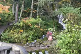 走近神秘的神农架－金猴岭视频封面